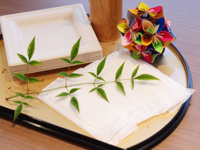 6E275C30-AA0E-4243-89CE-38670439DD82